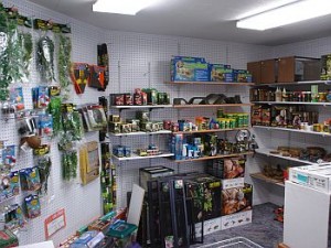 Reptile Section